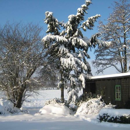 Ferienhaus Uchte / Darlaten Villa Esterno foto