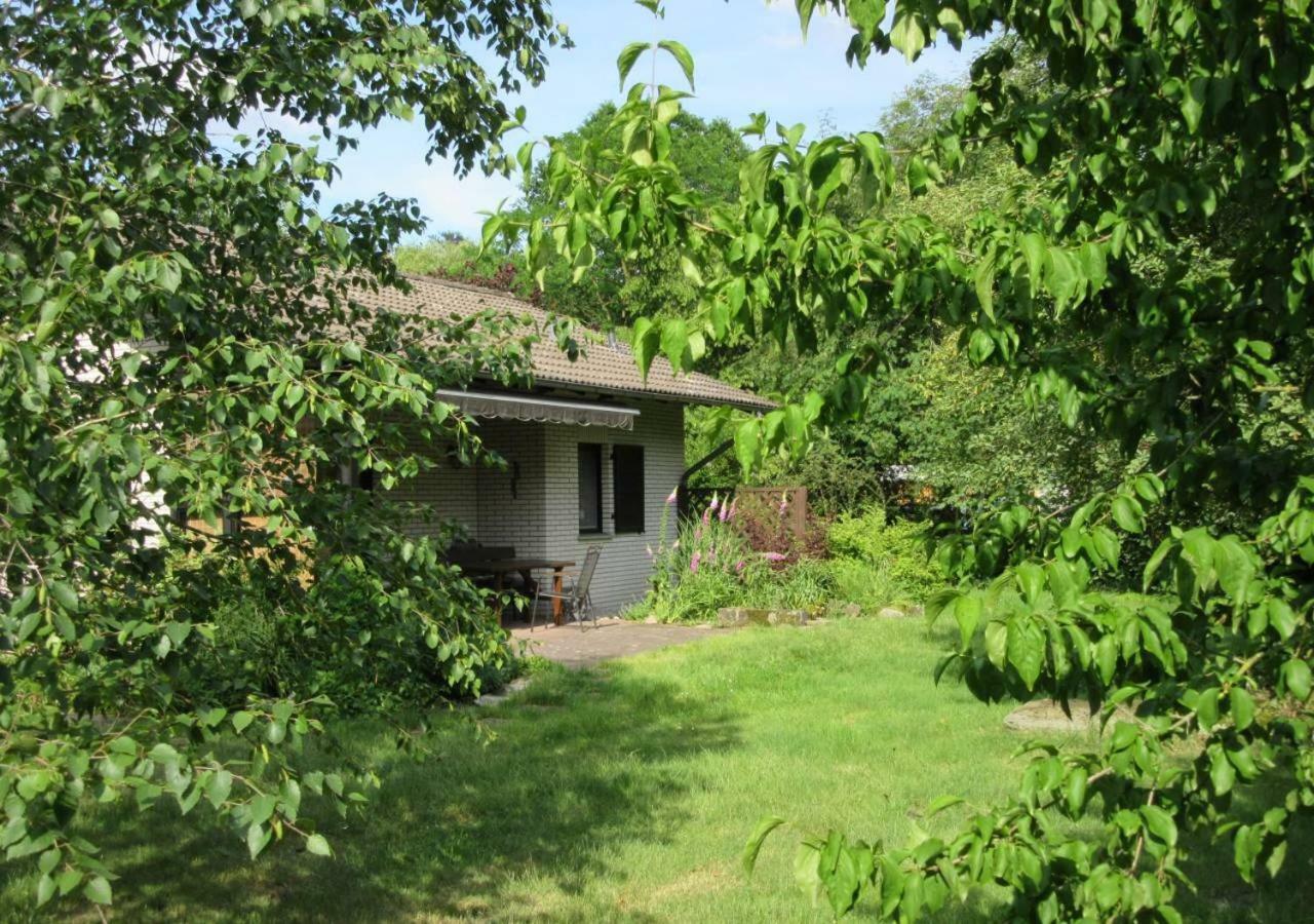 Ferienhaus Uchte / Darlaten Villa Esterno foto